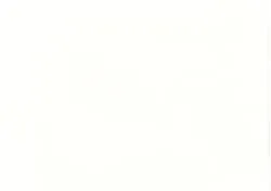 12 x 12 Smooth White 250gsm - 20 Pack