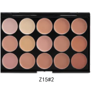 15 Colour Concealer Contour Palette #2