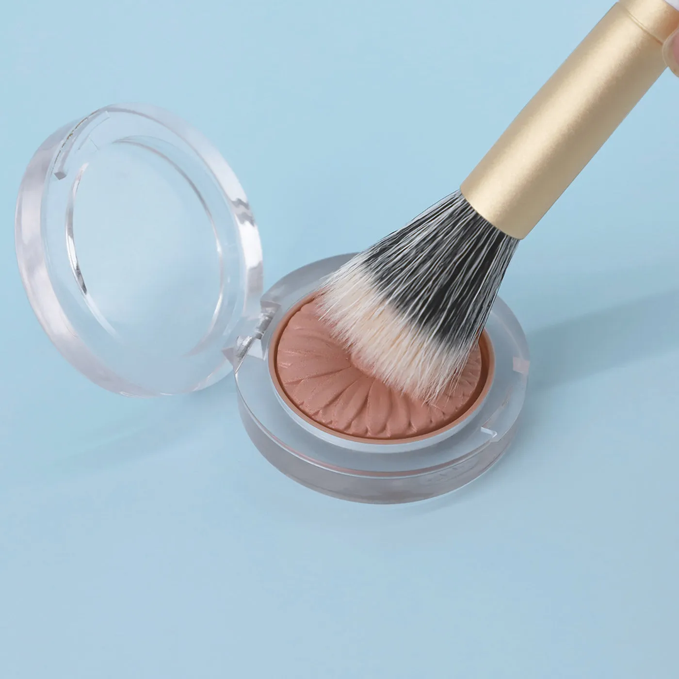 5Pcs Makeup Brush set