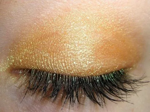 Ambre Eye Shadow
