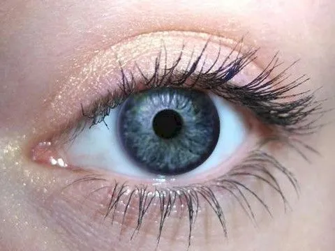 Apricot Eye Shadow