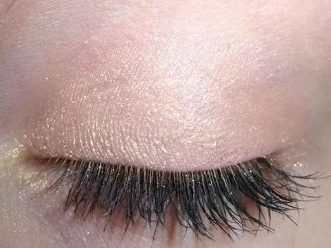 Apricot Eye Shadow