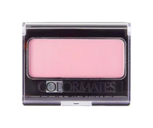 Blush & Brush - Pink Shimmer