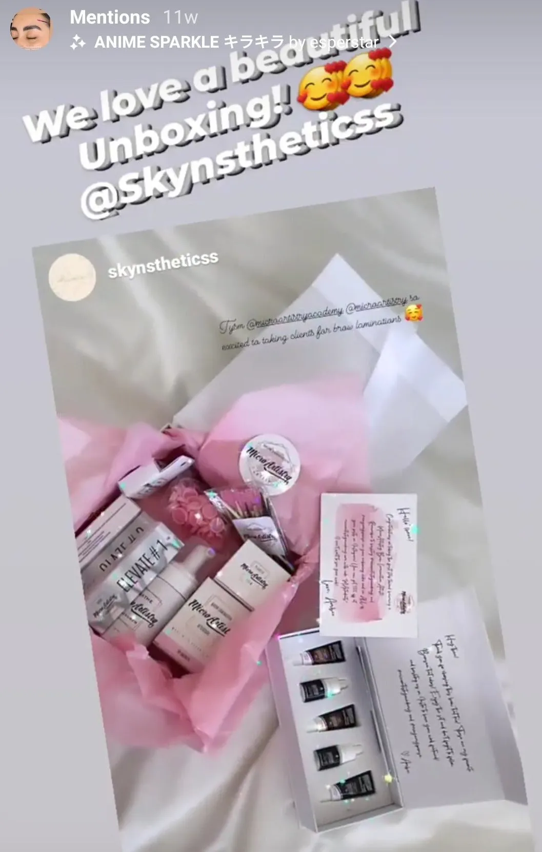 Bronsun X MicroArtistry: Amber's Brow Tint Trio!