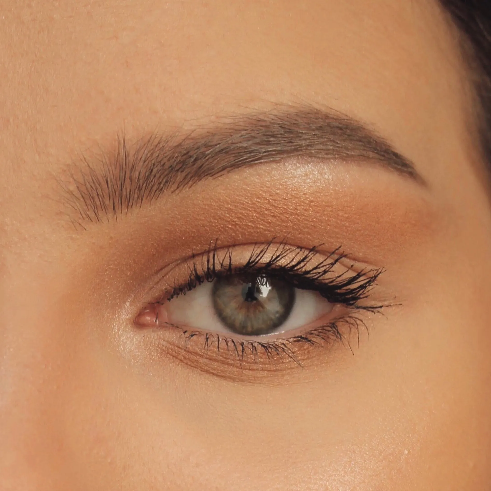 Brow Babe Powder
