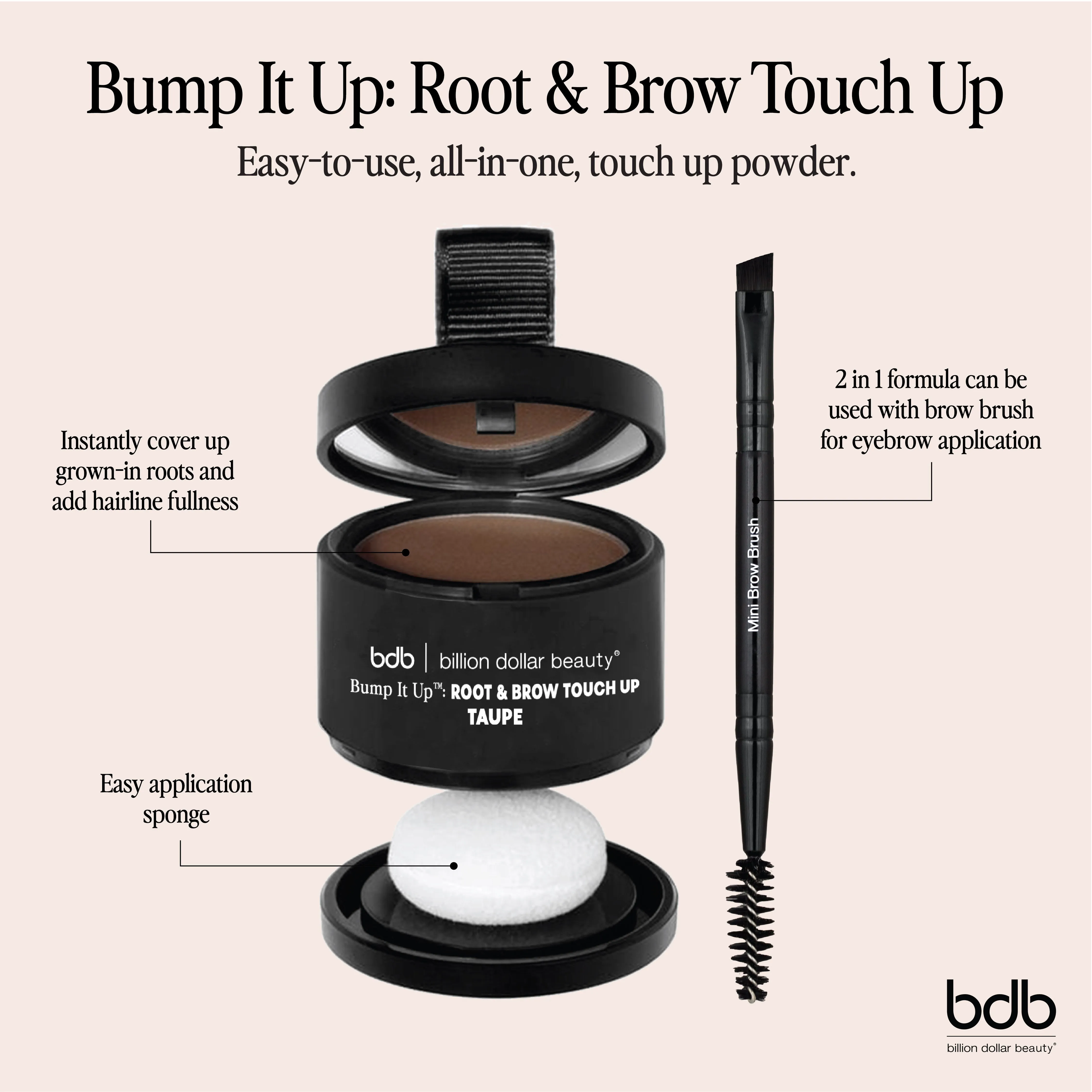 Bump It Up: Root & Brow Touch Up
