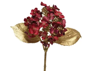 Christmas hydrangea in oxblood