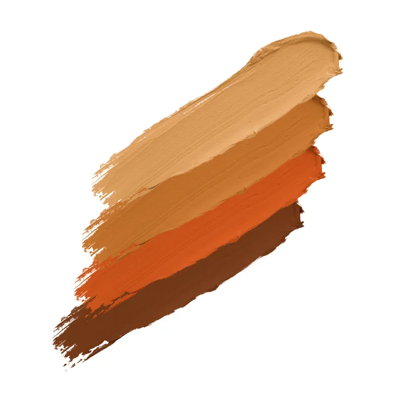 Daily Life Forever52 4 Color Concealer Wheel