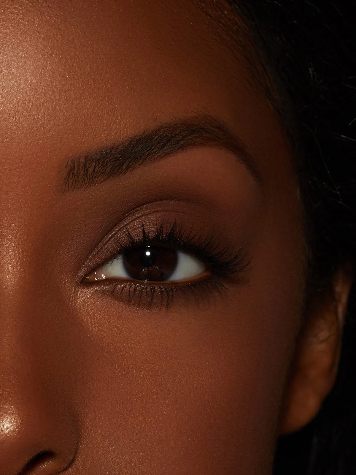 Ebony | Kybrow Kit