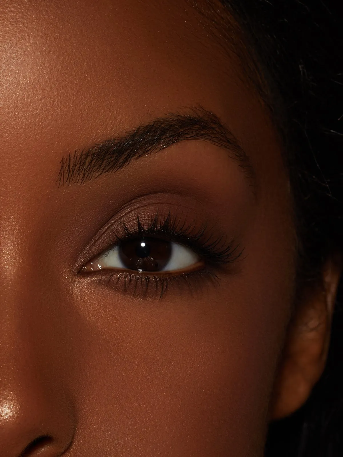 Ebony | Kybrow Kit