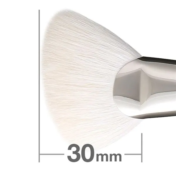 F1312BkSL Fan Brush Angled [HB1002]