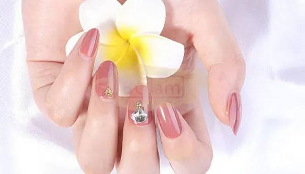 Full Cover Oval Nail Tips Clear 500 Tips