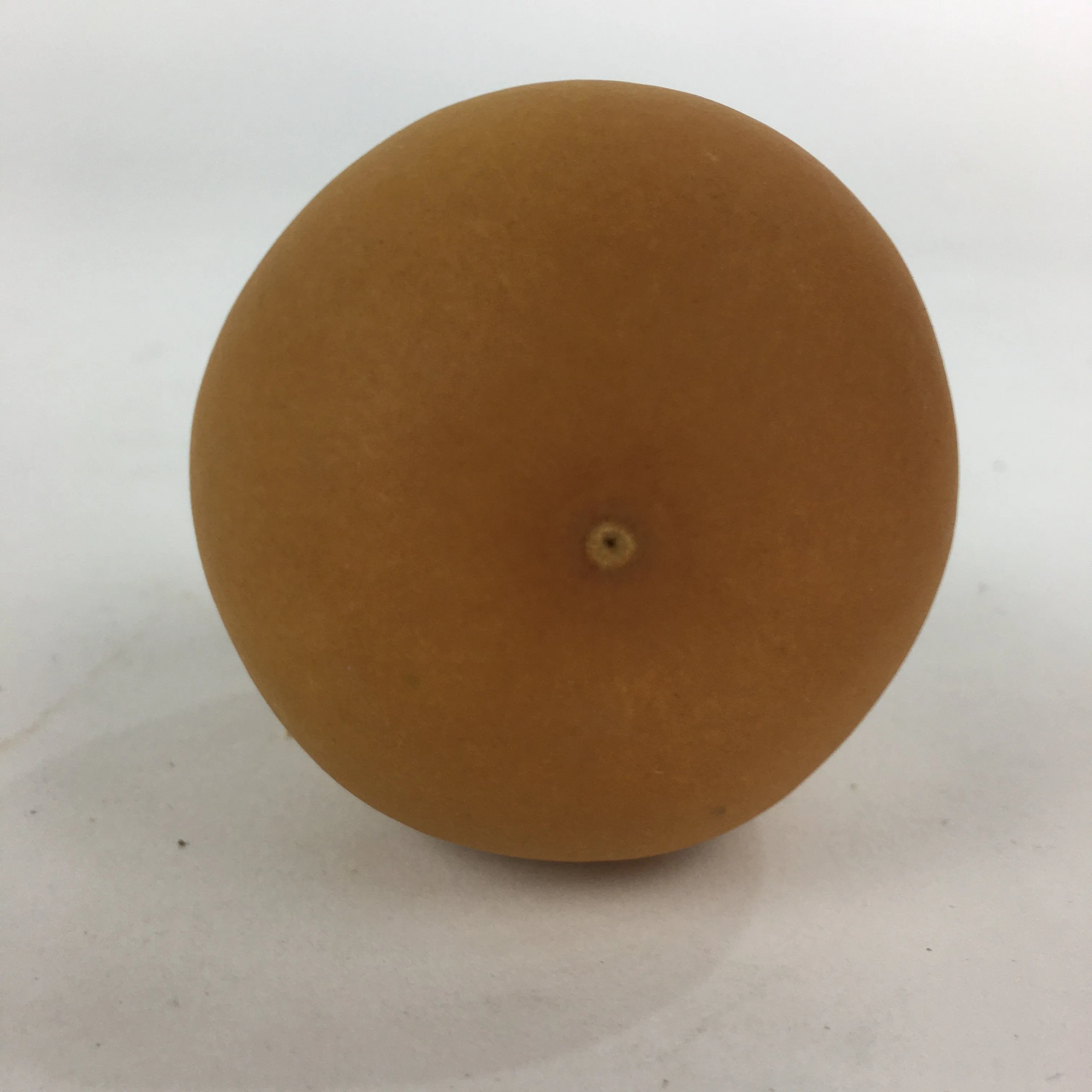 Japanese Hyotan Natural Gourd Sake Bottle Brown Lucky Charm Calabash G242