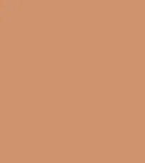 LA Girl Pro Matte HD Long Wear Foundation (30ml)
