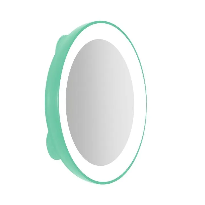 Lighted Compact Mirror with Magnification & Suction Cup