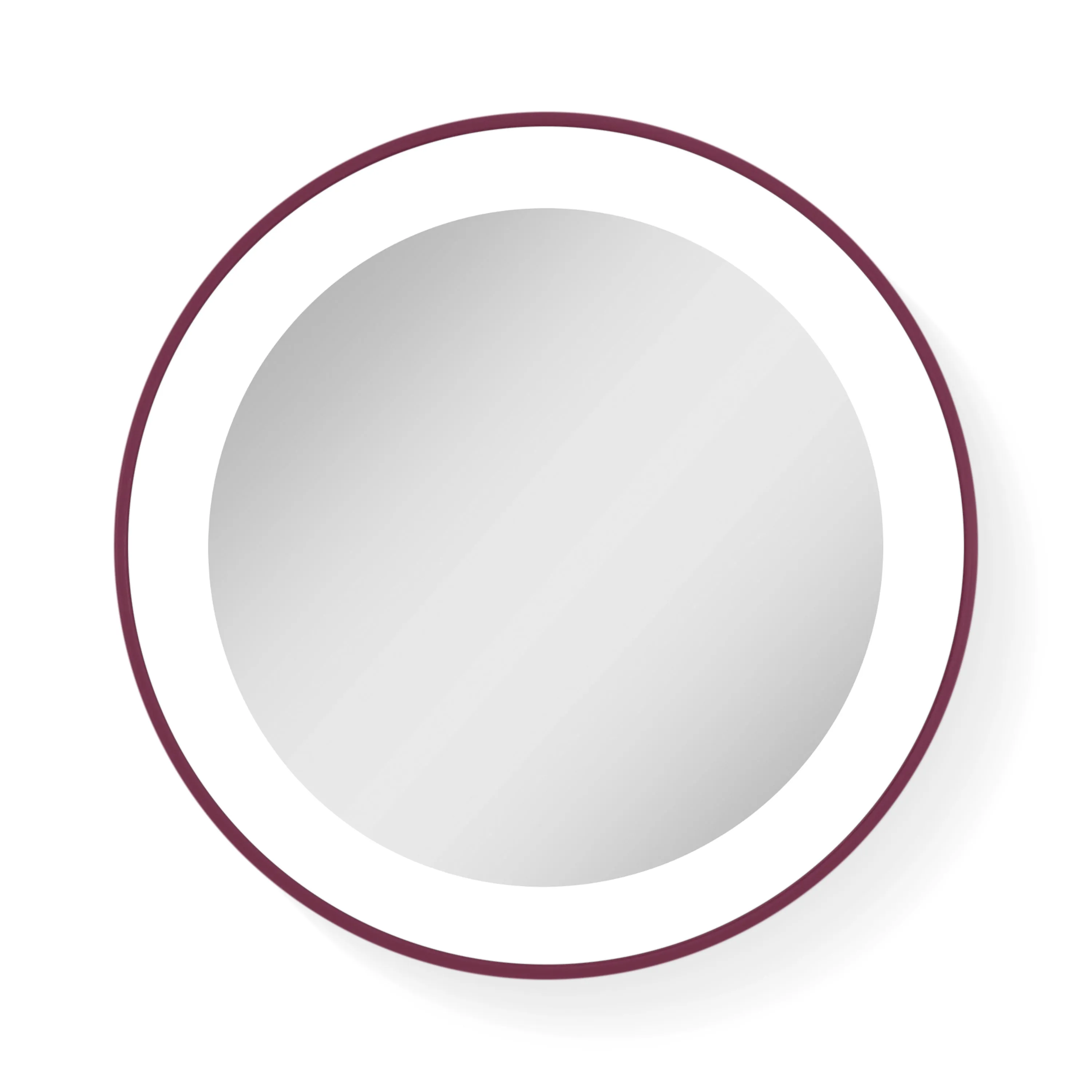 Lighted Compact Mirror with Magnification & Suction Cup