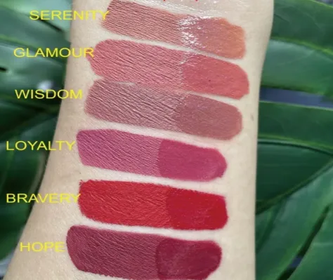 Lip Rouge Matte Lipstick - MQO 25 pcs