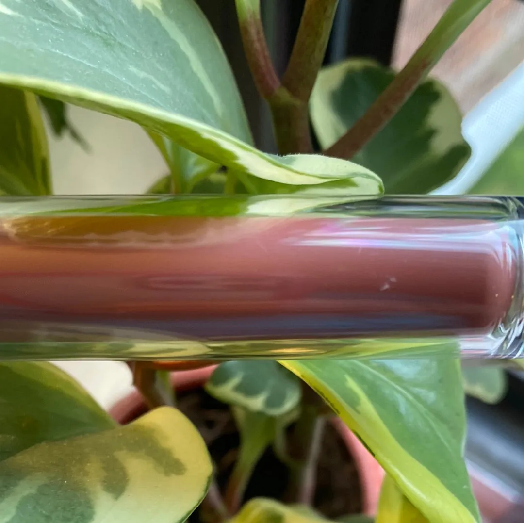 Liquid Lipsticks