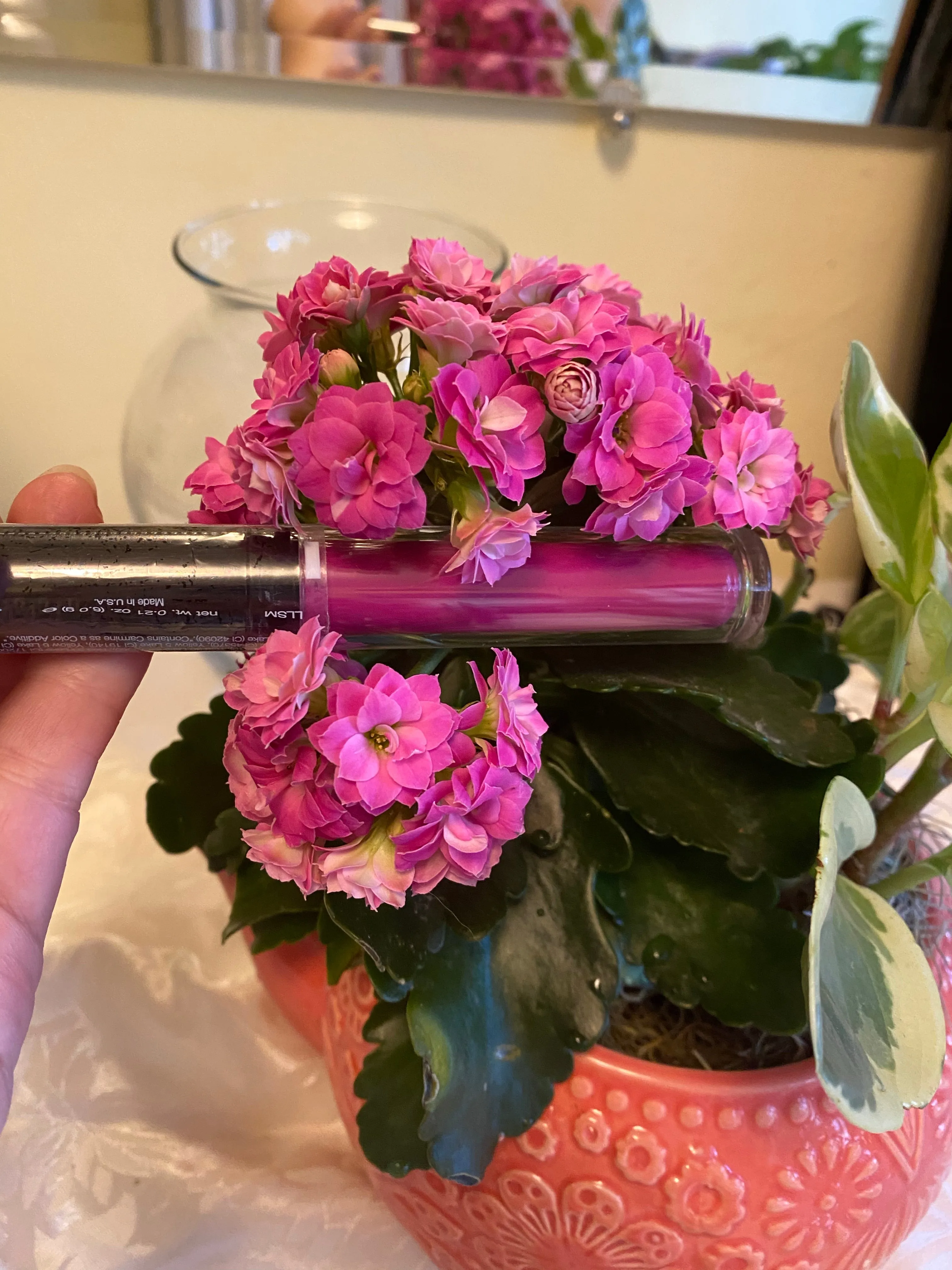 Liquid Lipsticks