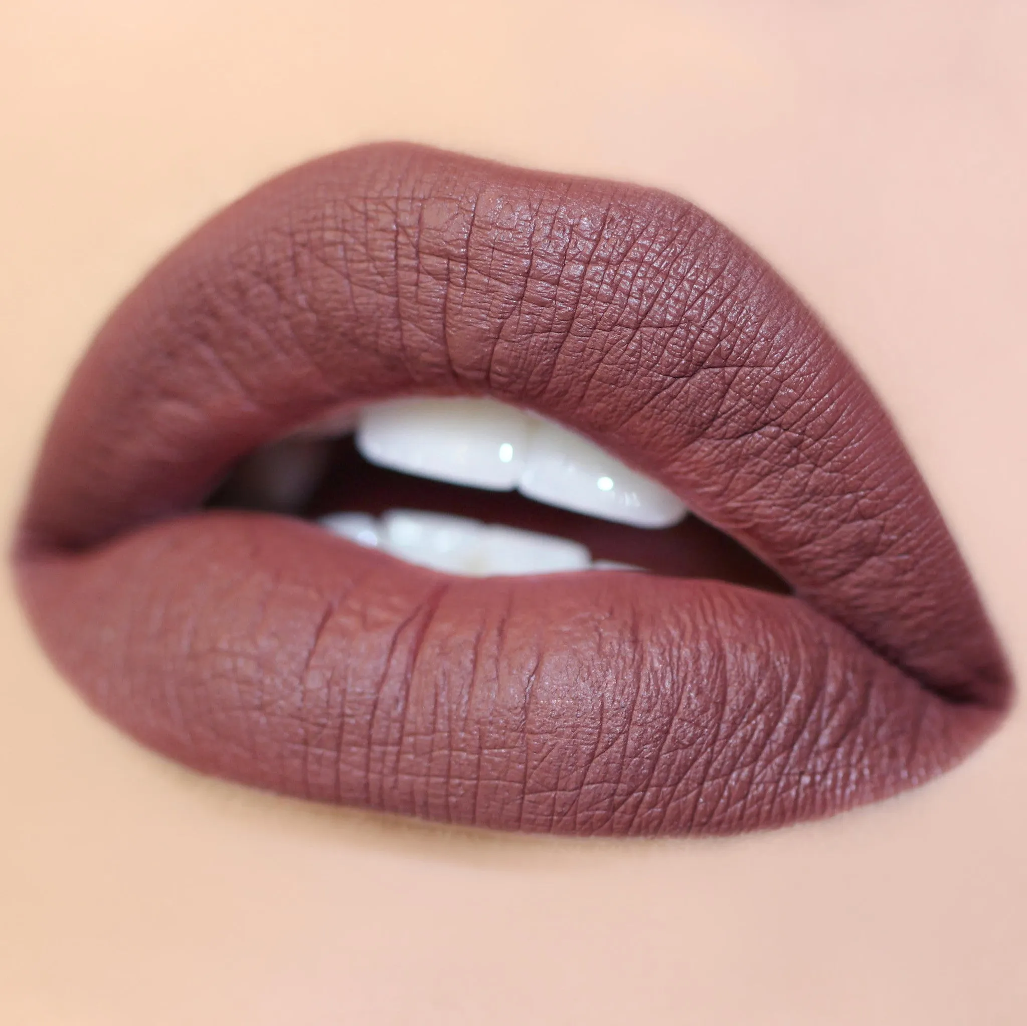 Long Lasting Matte Lip Paint Liquid Lipstick