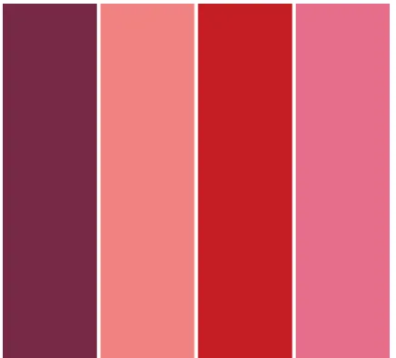 Matte Lip Stain Set 4PCS LSPN21