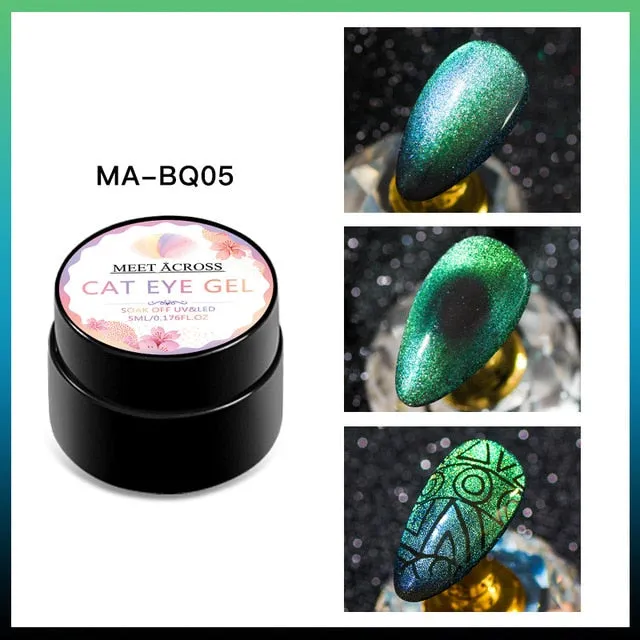 MEET ACROSS Magnetic Gel Polish