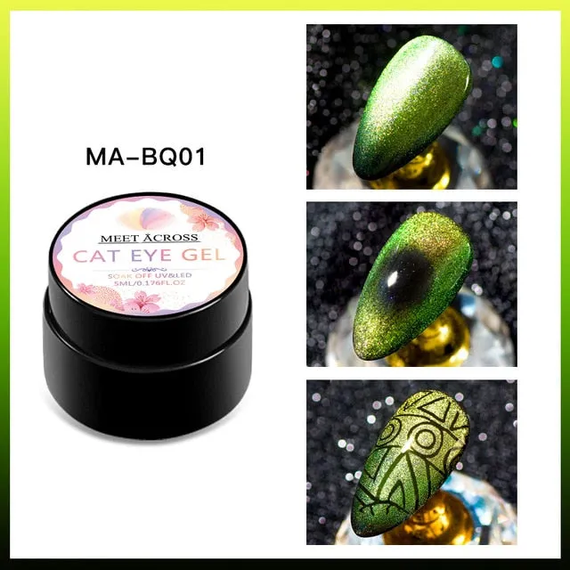 MEET ACROSS Magnetic Gel Polish