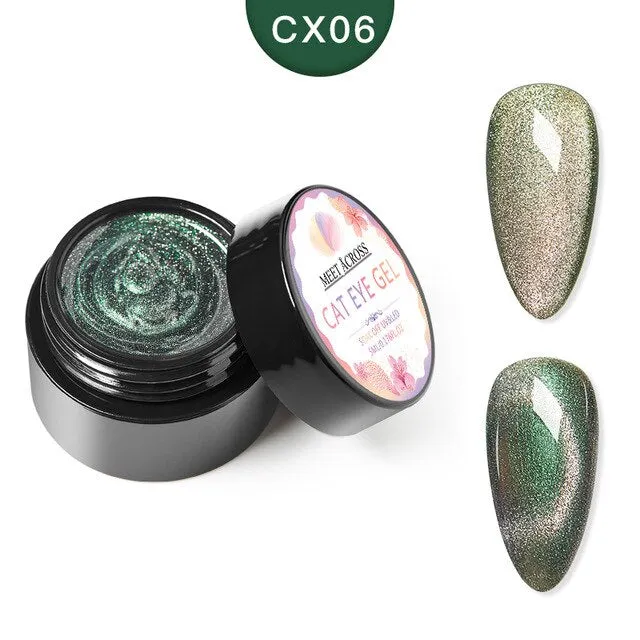 MEET ACROSS Magnetic Gel Polish