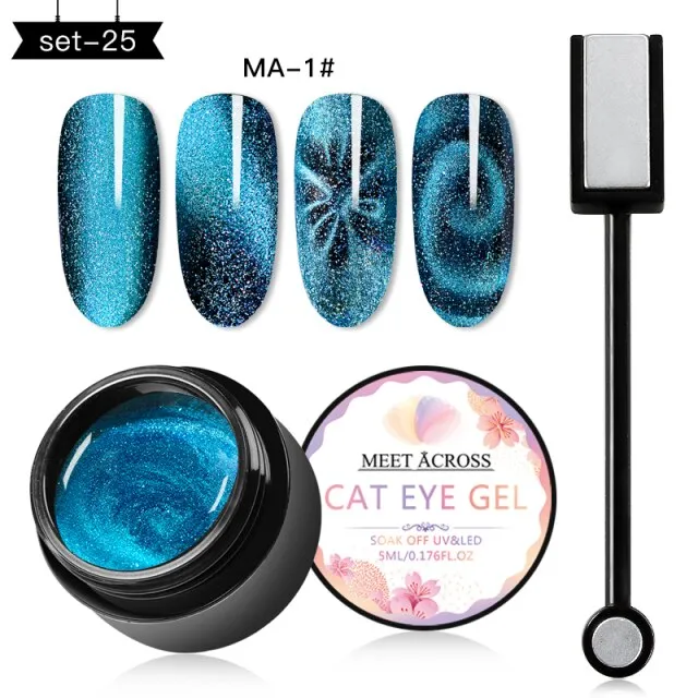 MEET ACROSS Magnetic Gel Polish