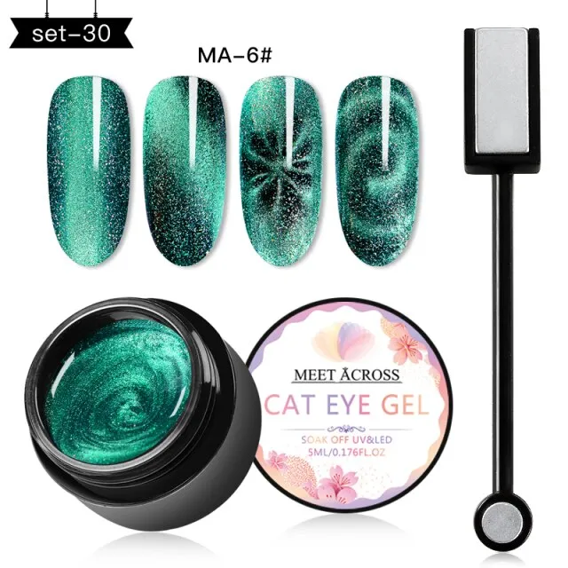MEET ACROSS Magnetic Gel Polish