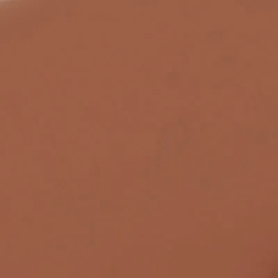 Peach Puchka- Block Buster Blush (Peach Nude) Dewy Matte Finish