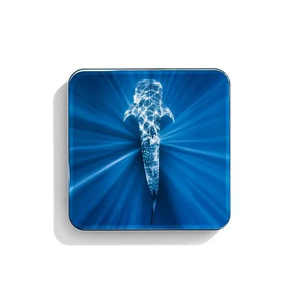 Radiance Chic Cheek and Highlighter Duo - Rose Whale Shark