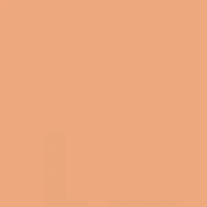 Ruby Kisses RKBC HD Brush Concealer