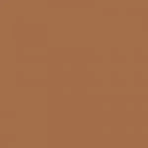 Ruby Kisses RKBC HD Brush Concealer