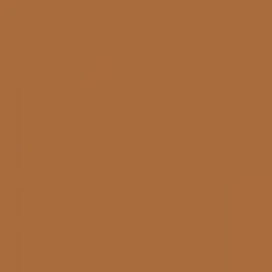 Ruby Kisses RKBC HD Brush Concealer