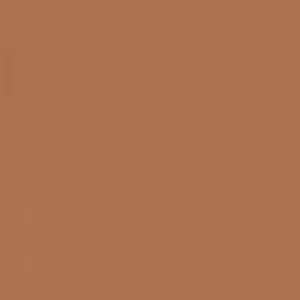 Ruby Kisses RKBC HD Brush Concealer