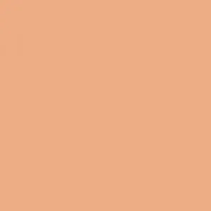 Ruby Kisses RKBC HD Brush Concealer