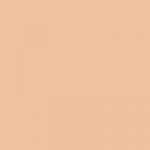 Ruby Kisses RKBC HD Brush Concealer