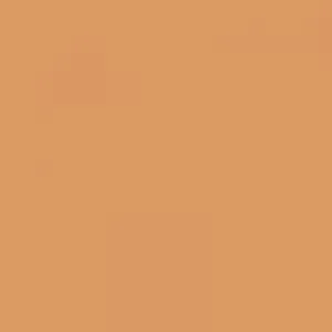 Ruby Kisses RKBC HD Brush Concealer