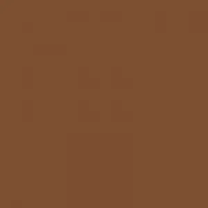 Ruby Kisses RKBC HD Brush Concealer