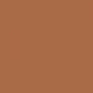 Ruby Kisses RKBC HD Brush Concealer