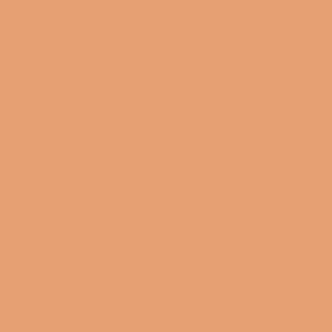 Ruby Kisses RKBC HD Brush Concealer