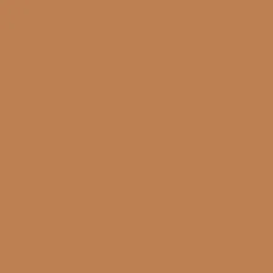 Ruby Kisses RKBC HD Brush Concealer