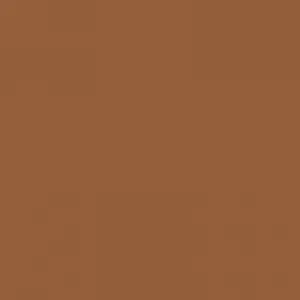 Ruby Kisses RKBC HD Brush Concealer