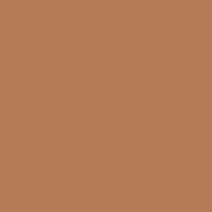 Ruby Kisses RKBC HD Brush Concealer