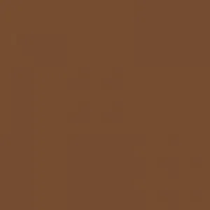 Ruby Kisses RKBC HD Brush Concealer