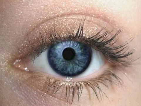 Sandalwood Eyeshadow