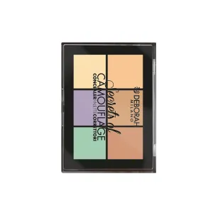 Secrets Of Camouflage Concealer Palette