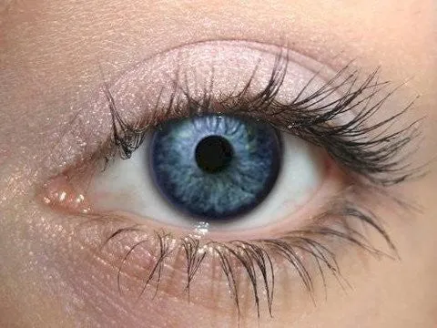 Slate Eyeshadow