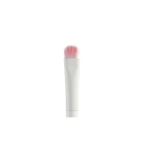 Small Eyeshadow Brush (12pcs/pk)